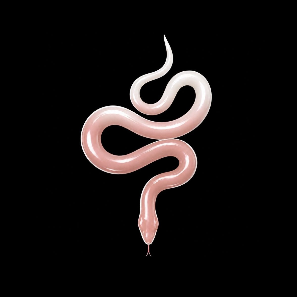 THE NAIL COVEN